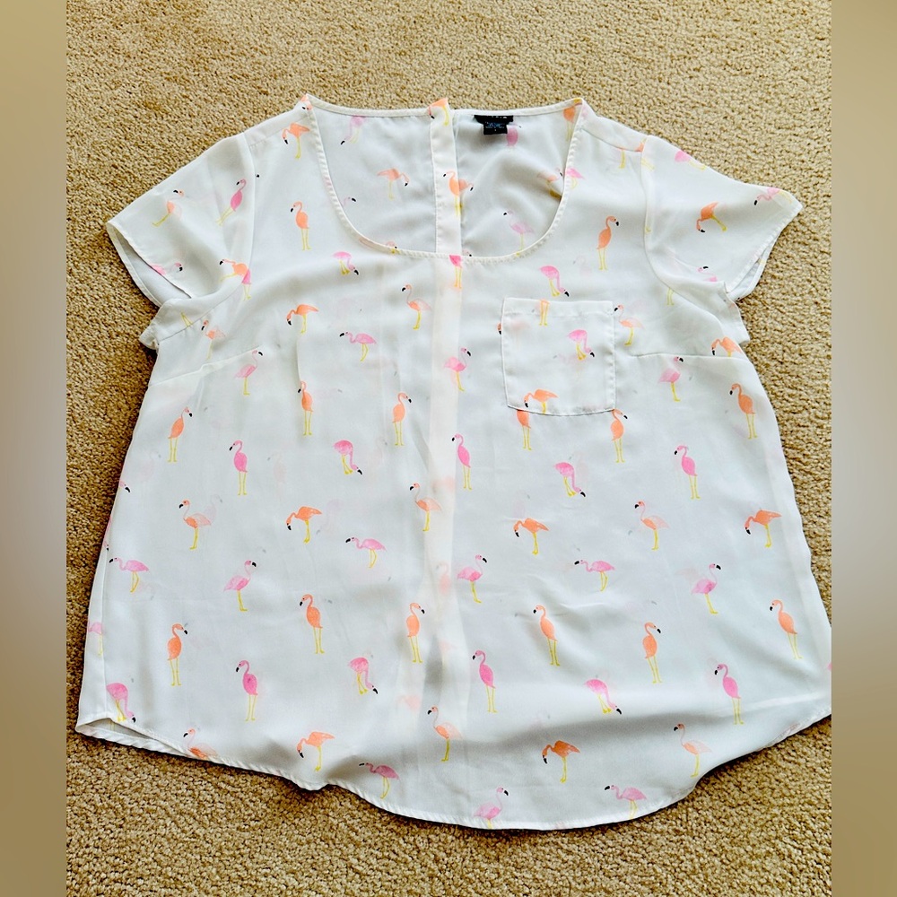 Georgette Flamingo Top